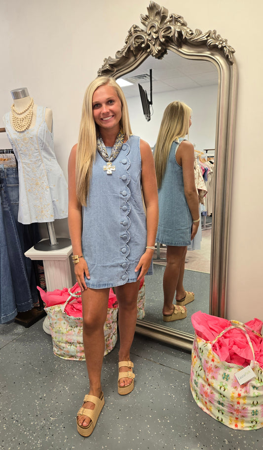 The Denise Denim Dress