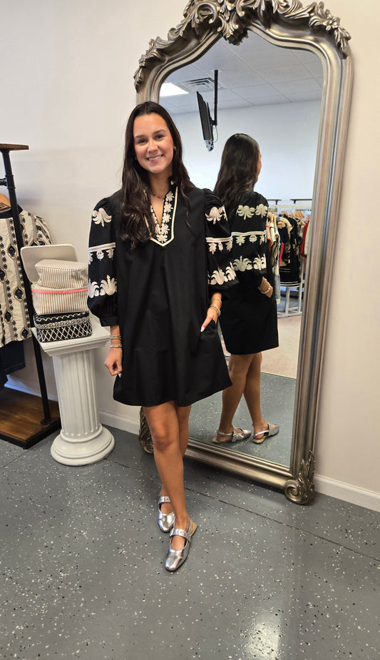 Cassidy Embroidered Mini Dress