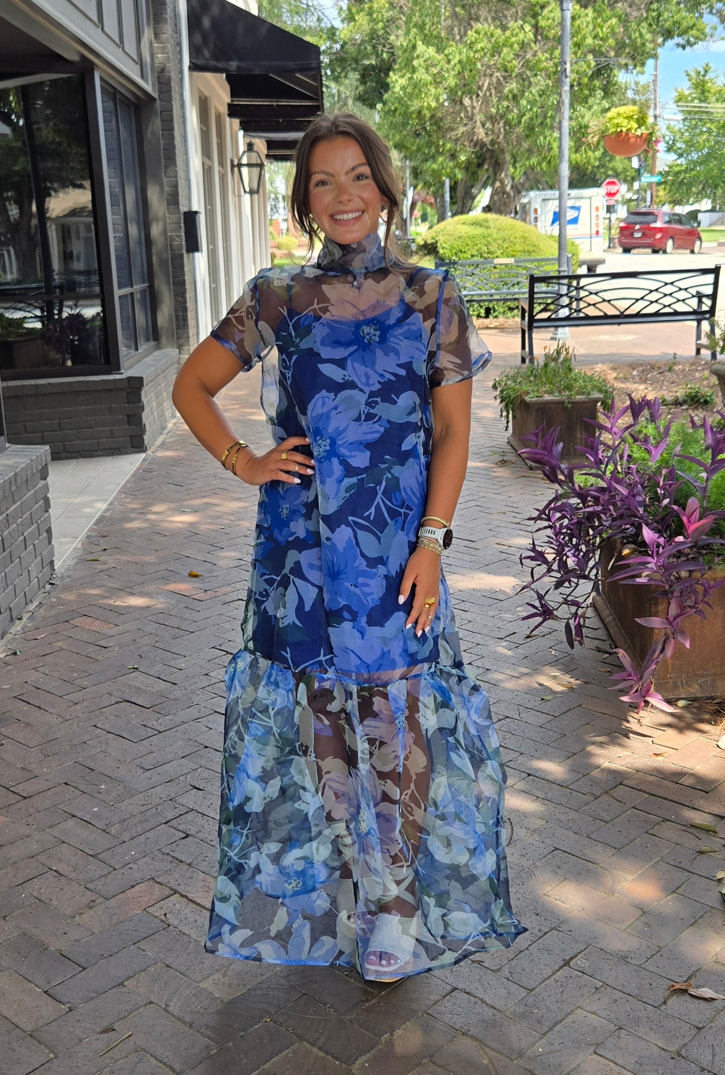 Ellery Floral Dime Organza Maxi Dress