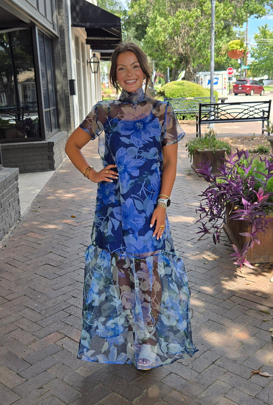 Ellery Floral Dime Organza Maxi Dress